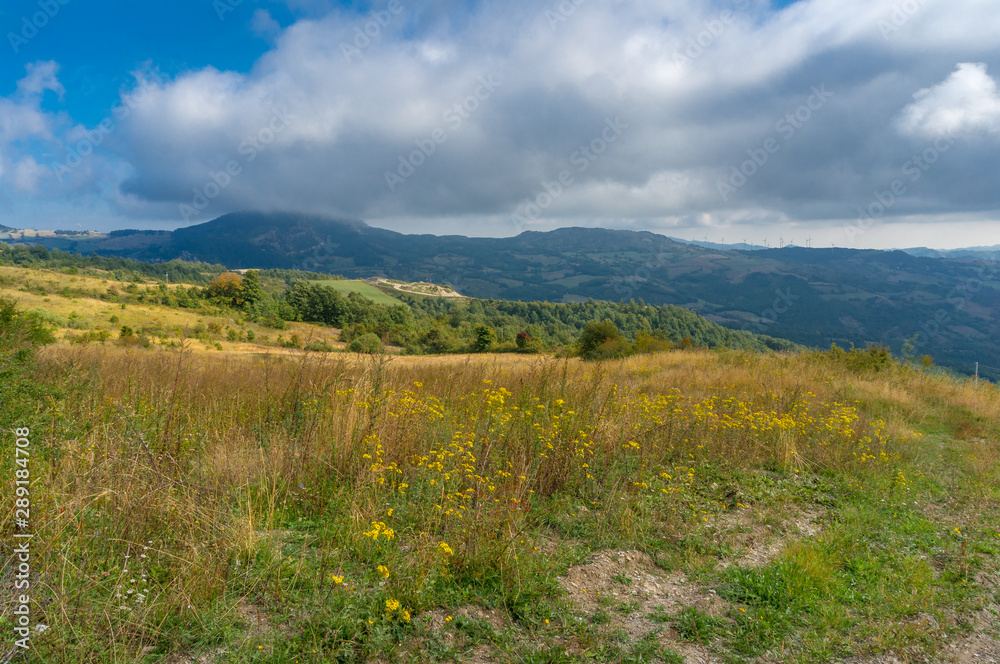 Colorful countryside nature background landscape with mountains in the distance