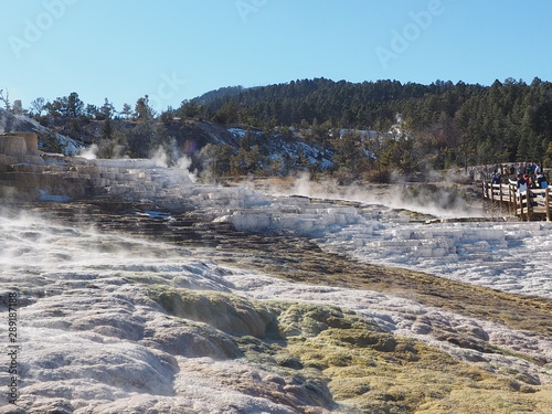 Fototapeta Naklejka Na Ścianę i Meble -  Yellowstone - Wyoming