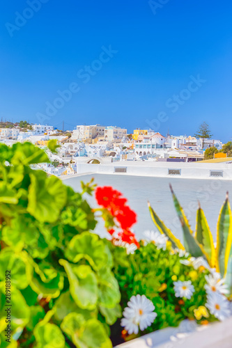 Panoramic View of Thira City on santorini Island in Greece with Flowers on Foreground. Focus on Flowers © danmorgan12