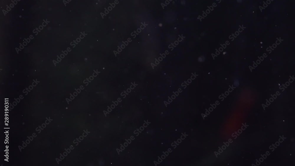 Small debris in water calm dark relaxing 4k Small debris in water calm dark relaxing 4k