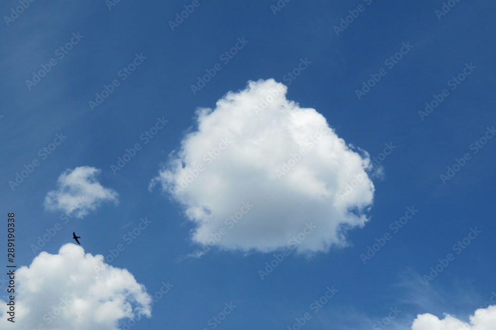Round cloud in blue sky, natural background Round cloud in blue sky, natural background