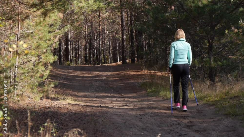 Woman practicing Nordic Walking in an autumn forest, she's walking away from the camera on the sandy road.Back view.Wide angle shot Woman practicing Nordic Walking in an autumn forest, she's walking away from the camera on the sandy road.Back view.Wide angle shot