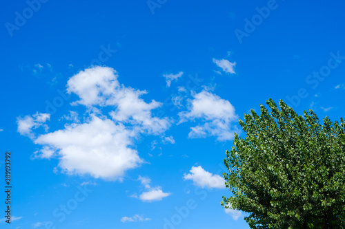 【写真素材】 青空　空　雲　夏の空　背景　背景素材　9月　コピースペース　 © Rummy & Rummy