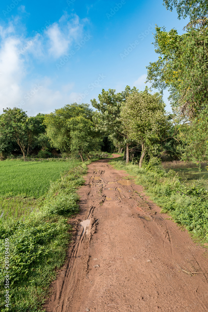 Φωτογραφία Indian Agricultural field with village road in the early morning.
