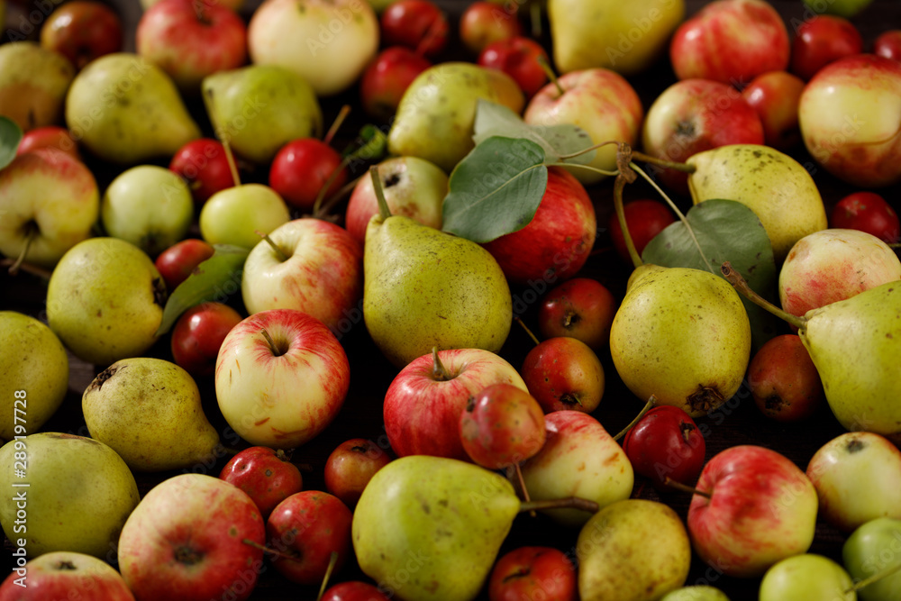 Background from ripe juicy pears and apples for your design. Close-up. Harvest. Background from ripe juicy pears and apples for your design. Close-up. Harvest.