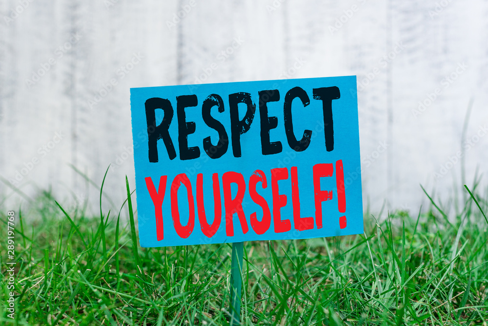 Handwriting text Respect Yourself. Conceptual photo believing that you good and worthy being treated well Plain empty paper attached to a stick and placed in the green grassy land