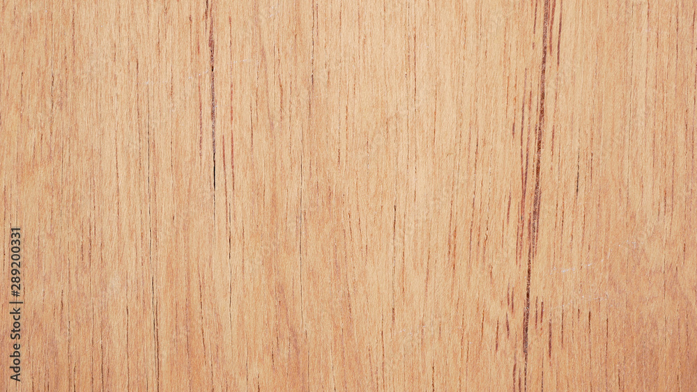 grunge wood plank Texture background for design grunge wood plank Texture background for design