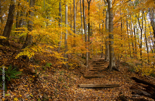Fall Hiking and Running