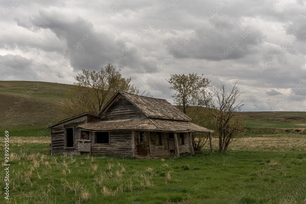 Abandoned farm house in rural Alberta, Canada