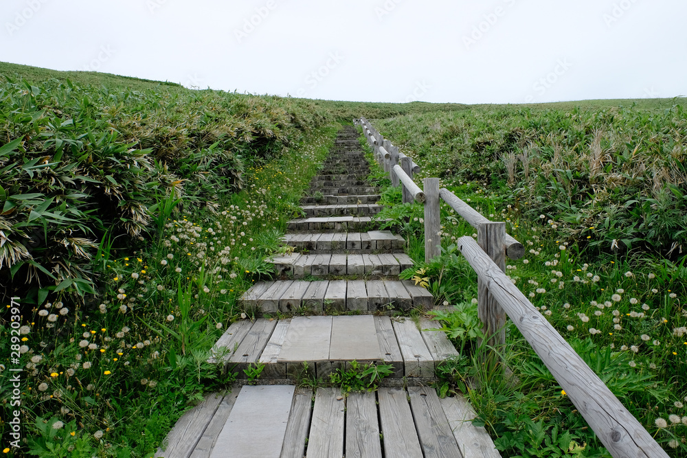 Wooden pathway on mountain, the green hills on top view,clear sky and windy with sea view,good trail at Cape Kamui Island in Shakotan,Hokkaido,Japan