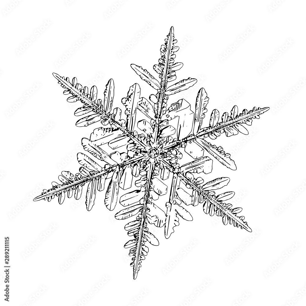 Snowflake isolated on white background. Illustration based on macro photo of real snow crystal: complex stellar dendrite with fine hexagonal symmetry, ornate shape and six thin, elegant arms. Snowflake isolated on white background. Illustration based on macro photo of real snow crystal: complex stellar dendrite with fine hexagonal symmetry, ornate shape and six thin, elegant arms.