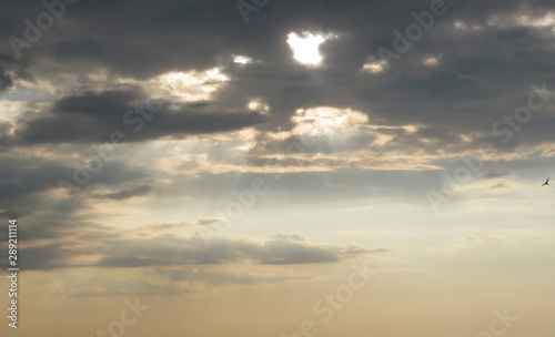 Beautiful golden sunset background over the city 