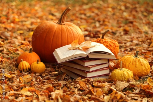 Autumn books. Reading books about autumn.Halloween books. Stack of books and orange pumpkins set on autumn foliage on blurred nature background