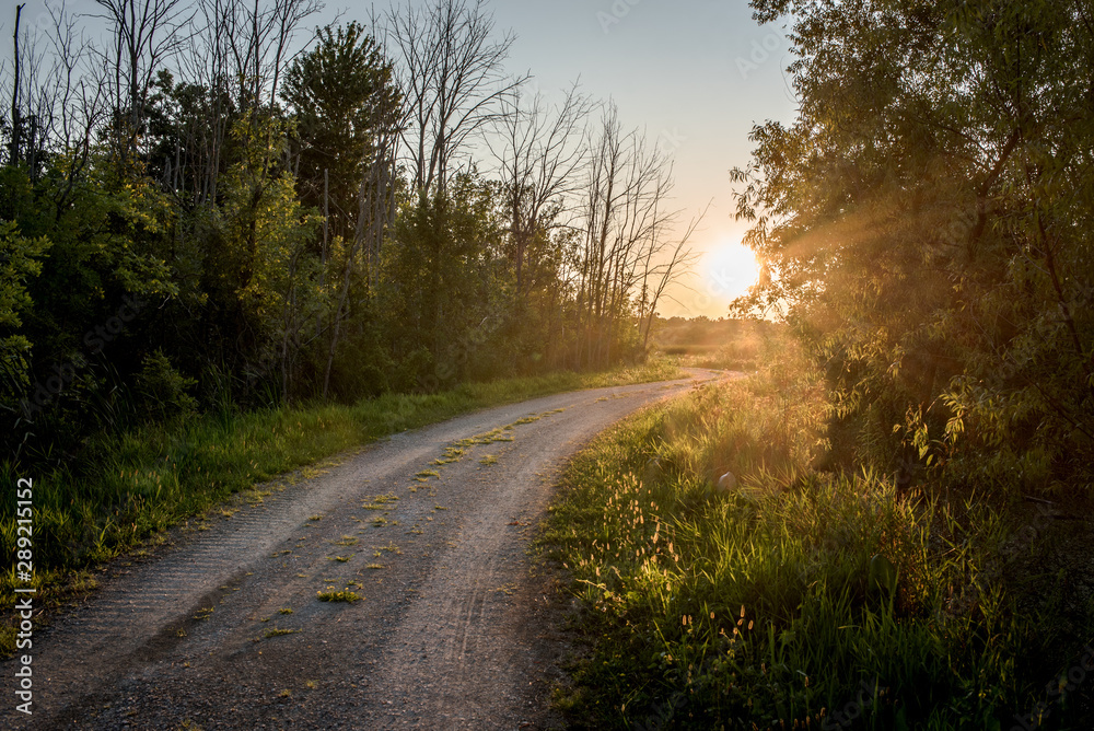Fototapeta premium gravel road at sunset