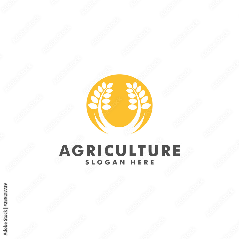 wheat farm logo design, Agriculture icon symbol vector illustration wheat farm logo design, Agriculture icon symbol vector illustration