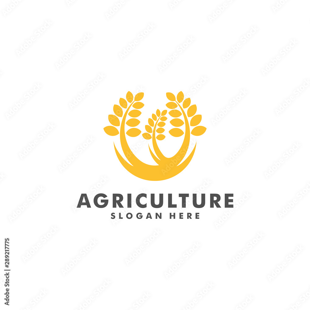 wheat farm logo design, Agriculture icon symbol vector illustration