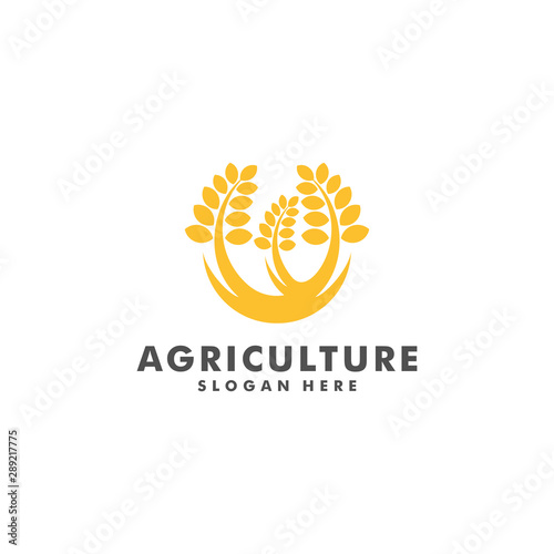 wheat farm logo design, Agriculture icon symbol vector illustration