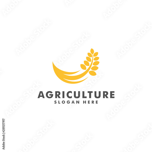 wheat farm logo design  Agriculture icon symbol vector illustration