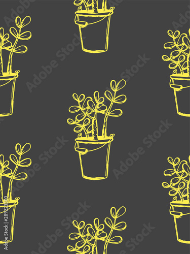 Set of different hand drawn house plants in pots. Isolated decorative plants  aloe  crassula  flower for design template  icon  gift card. Sketch style vector illustration.