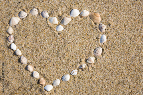 A heart made of shells.