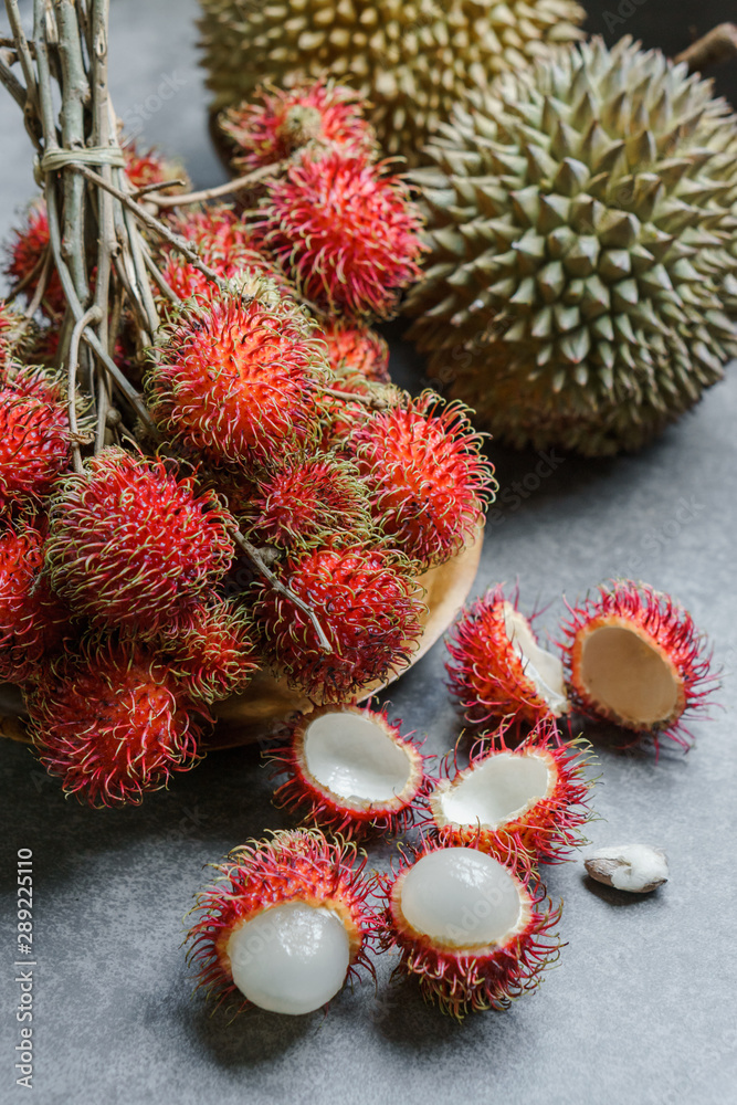 Rambutan is a medium-sized tropical tree in the family Sapindaceae Rambutan is a medium-sized tropical tree in the family Sapindaceae