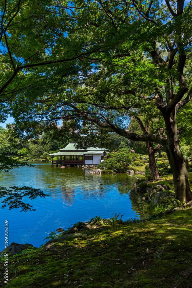 清澄庭園の風景 清澄庭園の風景