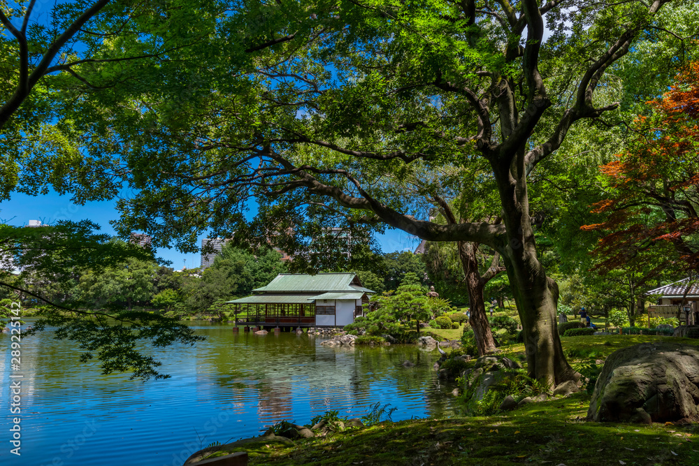 清澄庭園の風景