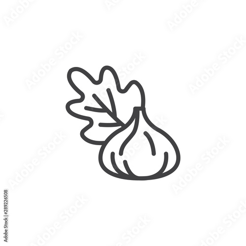 Figs fruit line icon. linear style sign for mobile concept and web design. Fig tree leaf outline vector icon. Symbol, logo illustration. Vector graphics
