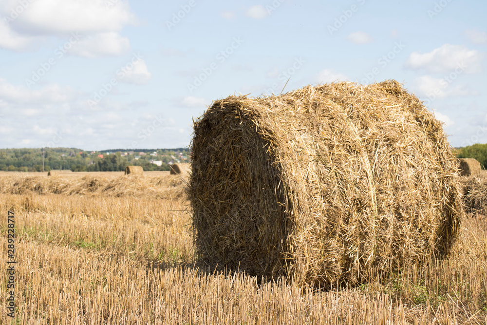 Harvested field with straw bales in summer Harvested field with straw bales in summer