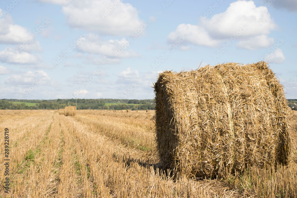 Harvested field with straw bales in summer Harvested field with straw bales in summer