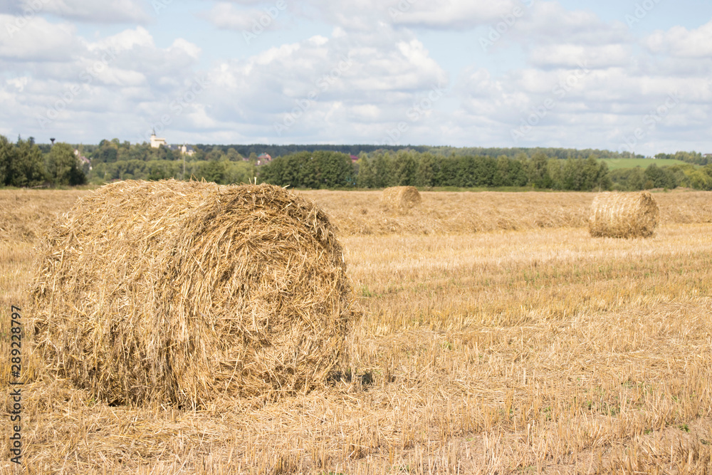 Harvested field with straw bales in summer Harvested field with straw bales in summer