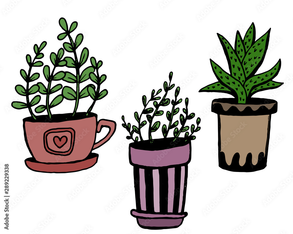 Set of different hand drawn house plants in pots. Isolated decorative plants: aloe, crassula, flower for design template, icon, gift card. Sketch style vector illustration.