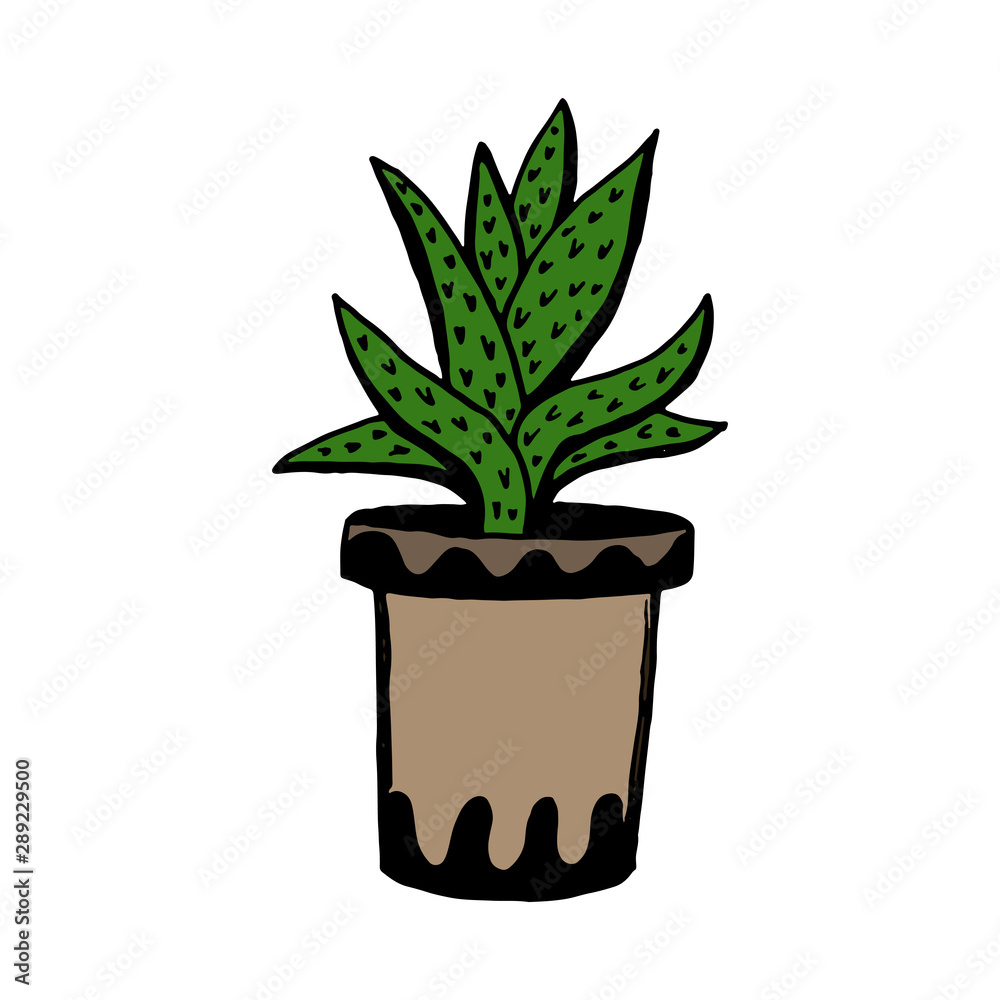 Set of different hand drawn house plants in pots. Isolated decorative plants: aloe, crassula, flower for design template, icon, gift card. Sketch style vector illustration. Set of different hand drawn house plants in pots. Isolated decorative plants: aloe, crassula, flower for design template, icon, gift card. Sketch style vector illustration.