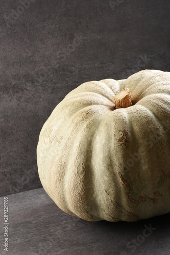 Pumpkin on granite texture
