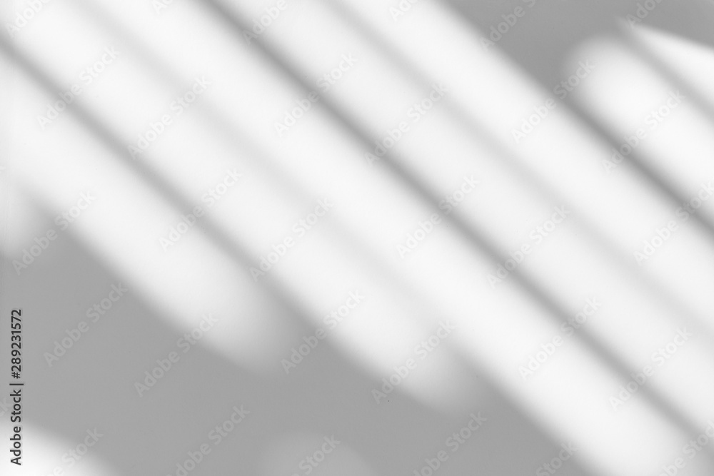 Organic drop shadow on a white wall, overlay effect for photo, mock-ups, posters, stationary, wall art, design presentation Organic drop shadow on a white wall, overlay effect for photo, mock-ups, posters, stationary, wall art, design presentation