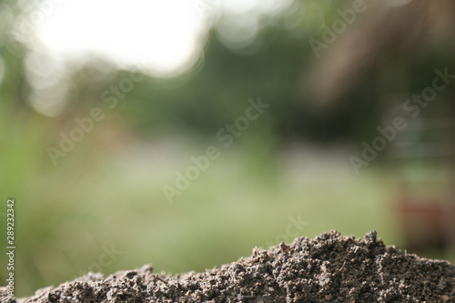 Soil texture with green background for template design