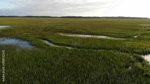 Aerial view of South Carolina estuary near Edisto Island photo