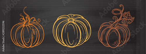 Autumn vector illustration. Graphic pumpkins set on a chalkboard background.