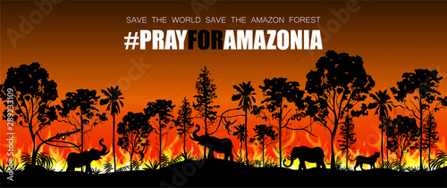Problems forest fire burn in Brazil, Australia, and Amazon. Forest fires with wild animals silhouette. Vector illustration.