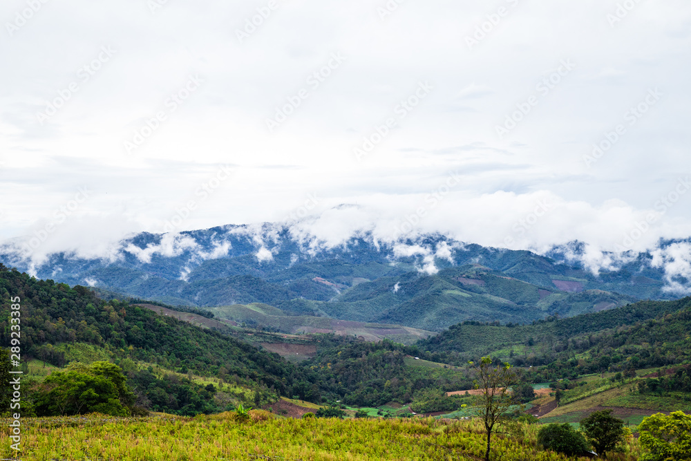 Fototapeta premium Green View of mountain landscape