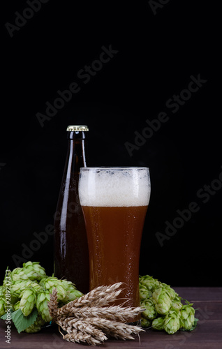 Craft beer with fresh green of hops and with wheat on dark wooden table. Empty space for text. Black background