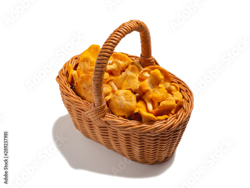 Group of edible forest chanterelle mushrooms in wicker basket isolated on white background