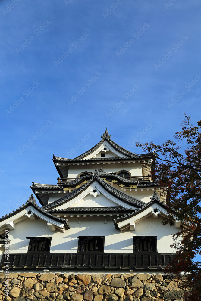 晩秋の彦根城