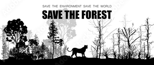 Silhouette of a wild tiger with a fertile and arid tree. Concept of nature forest encroachment, forest burning, deforestation Impact on wildlife, humans, and global warming. Vector illustration.