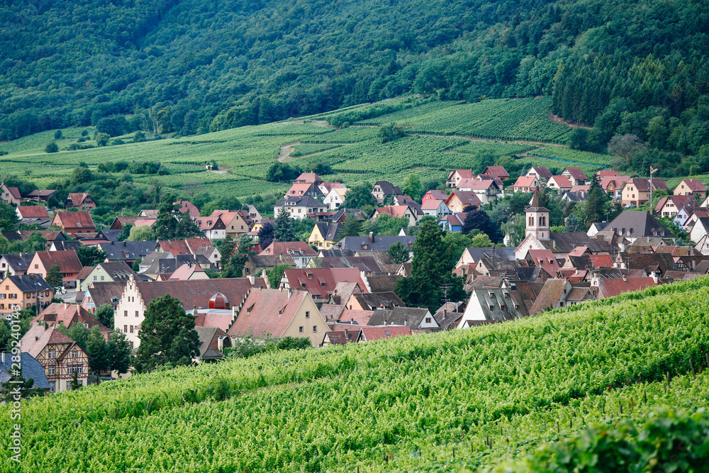 Beautiful View of Alsace France countryside 