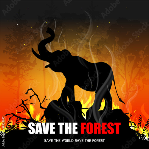 Silhouette of a wild elephant amid a forest flame. Concept of forest encroachment, forest burning, deforestation, the effects of forest burning. Global warming. Vector illustration.