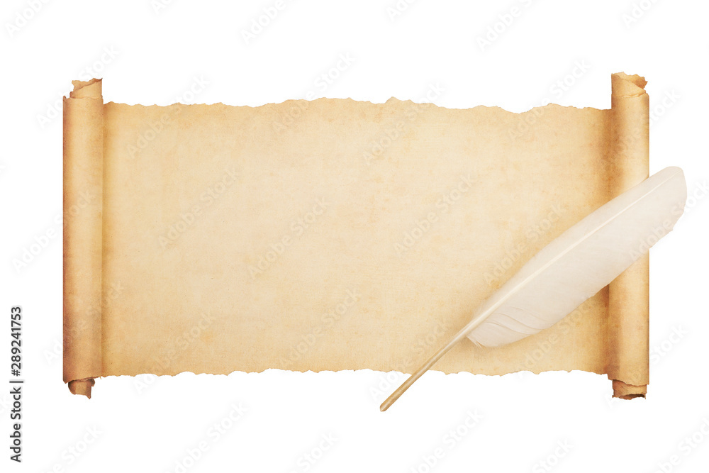 Vintage blank paper scroll isolated on white background with feather