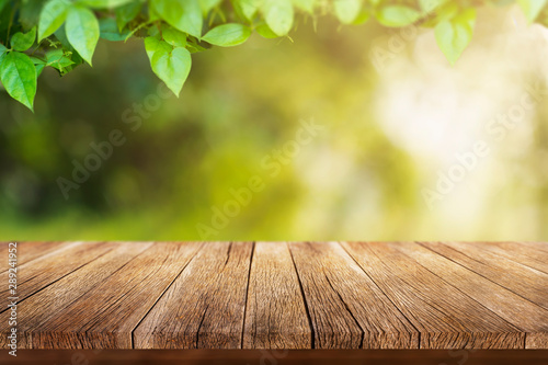 Old wooden table With the color of spring In the morning the warm sunshine