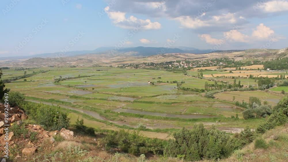 rice fields top view HD 1080 rice fields top view HD 1080