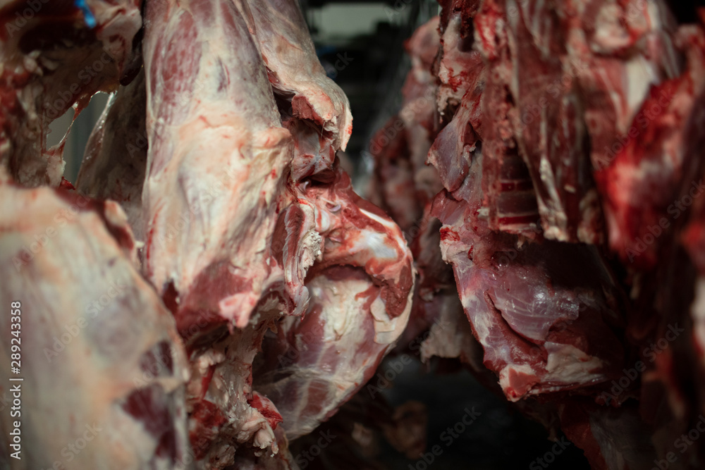 Fleisch Fleisch